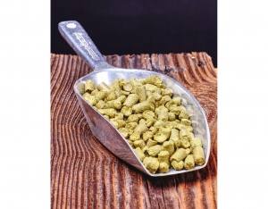 Hallertauer Tradition  200g